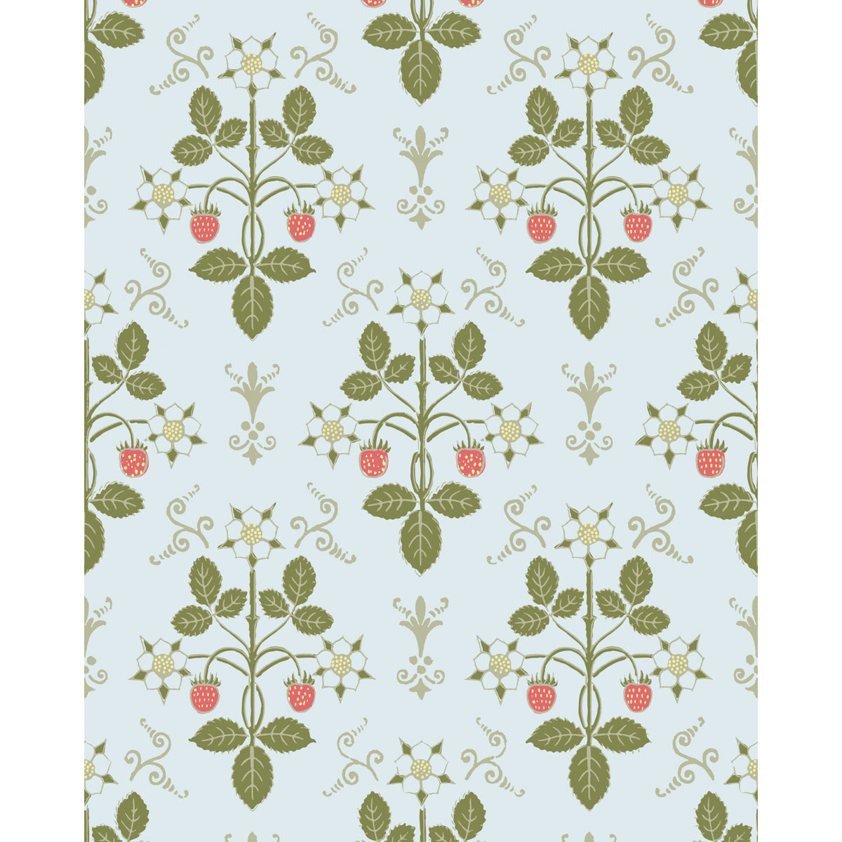 127/2009-CS COLE & SON STRAWBERRY OLIVE/BLUE