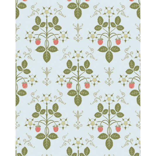 127/2009-CS COLE & SON STRAWBERRY OLIVE/BLUE