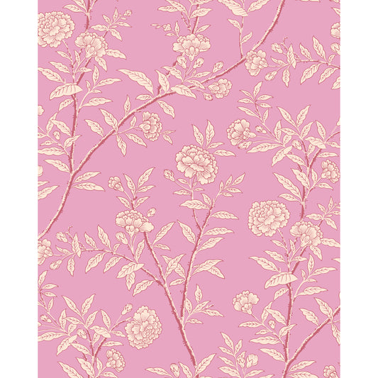 127/3017-CS COLE & SON ROSEBERRY FUCHSIA