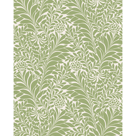 127/5024-CS COLE & SON HONEYSUCKLE SPRING GREEN