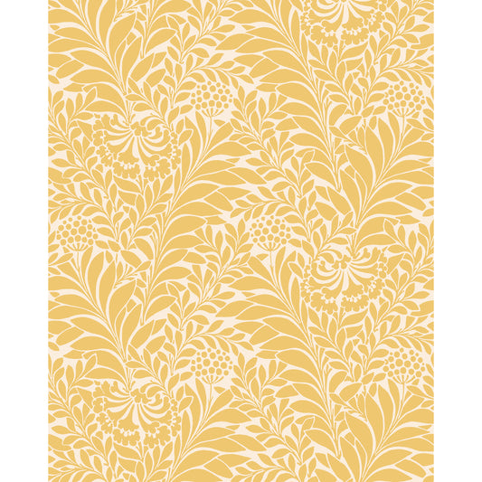 127/5026-CS COLE & SON HONEYSUCKLE DAFFODIL