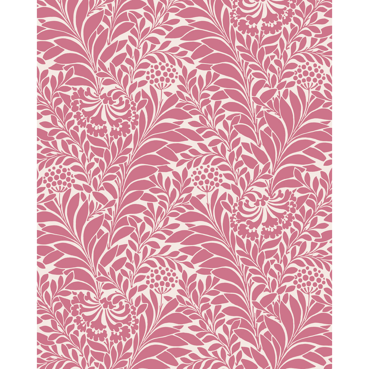 127/5028-CS COLE & SON HONEYSUCKLE RASPBERRY