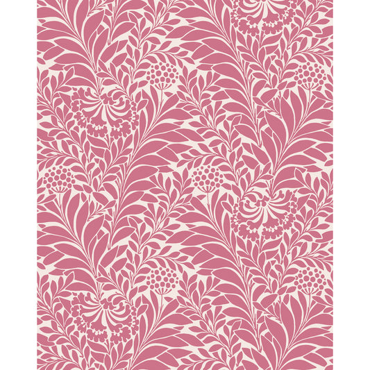 127/5028-CS COLE & SON HONEYSUCKLE RASPBERRY