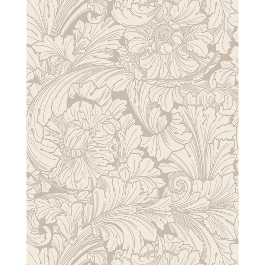 127/6029-CS COLE & SON ACANTHUS CREAM/PEBBLE