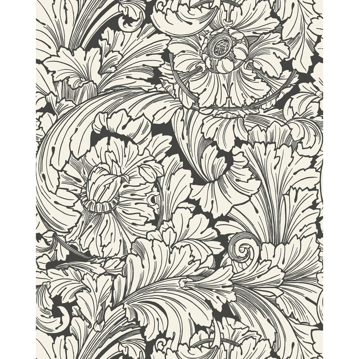 127/6032-CS COLE & SON ACANTHUS SOOT/SNOW