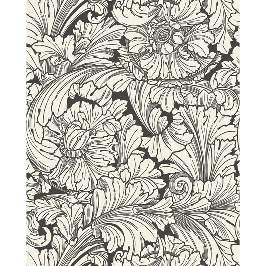 127/6032-CS COLE & SON ACANTHUS SOOT/SNOW