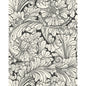 127/6032-CS COLE & SON ACANTHUS SOOT/SNOW
