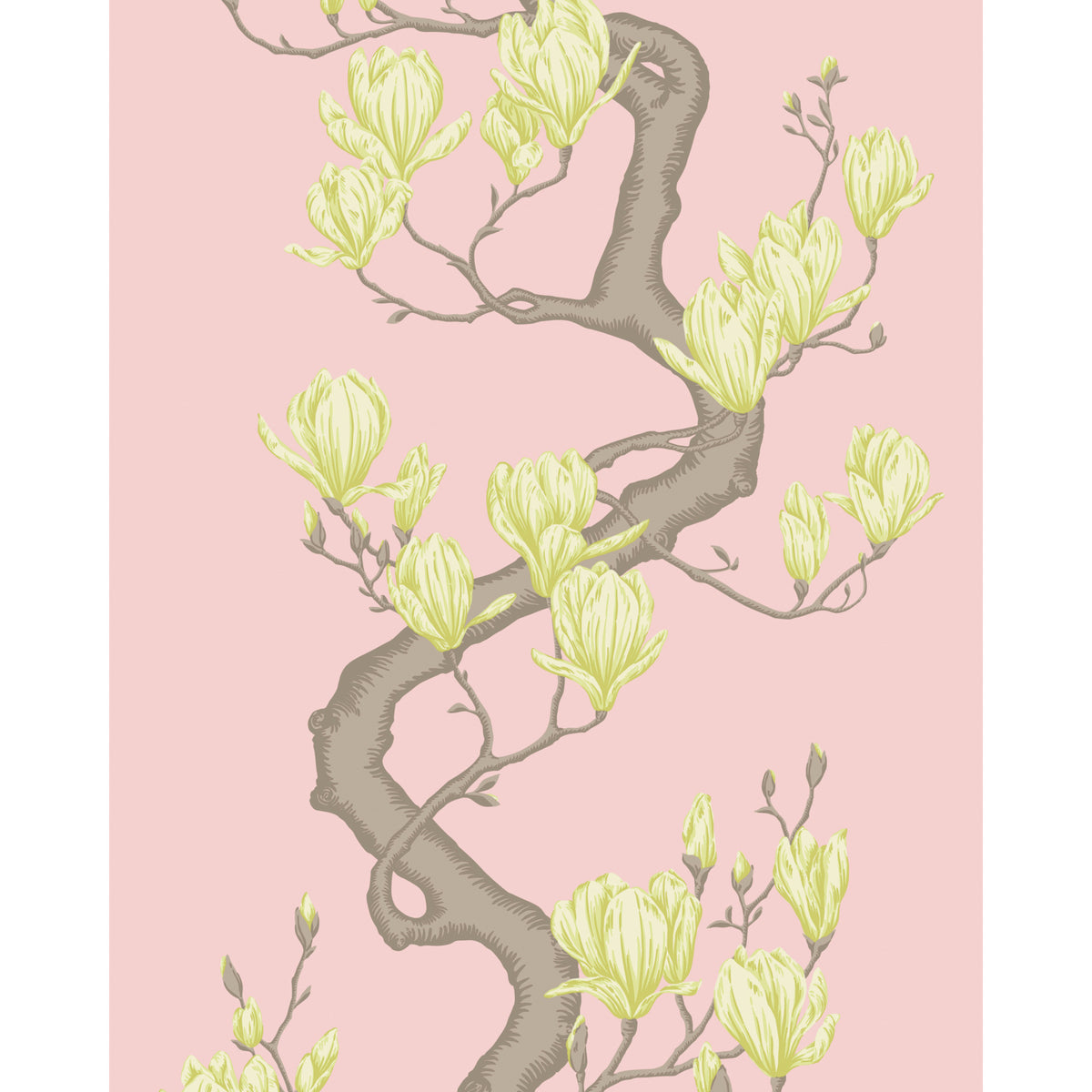 128/1005-CS COLE & SON MAGNOLIA TREE ROSE PINK