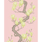 128/1005-CS COLE & SON MAGNOLIA TREE ROSE PINK