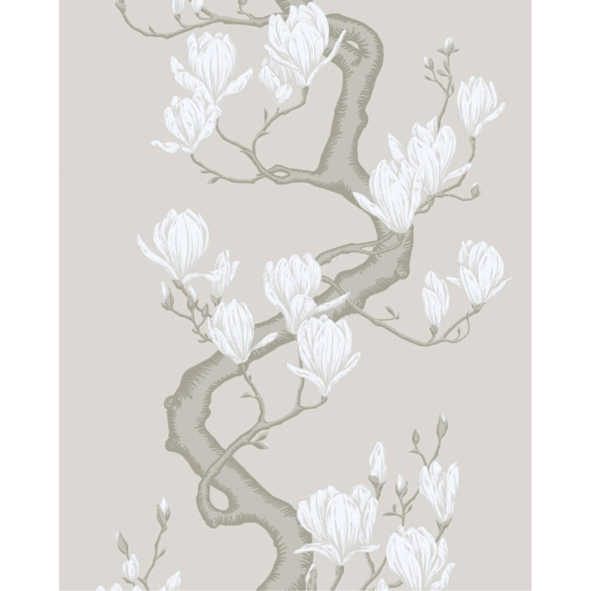 128/1008S-CS COLE & SON MAGNOLIA TREE NON SLUB