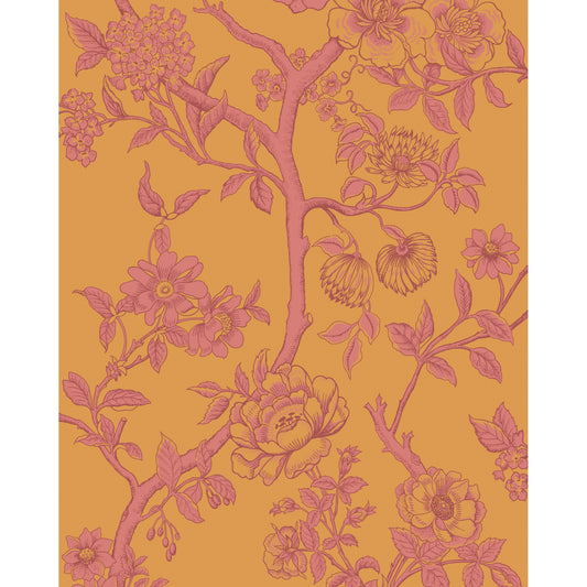 128/2011-CS COLE & SON PARADISE TREE TANGERINE