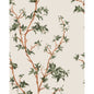 128/3013-CS COLE & SON CHINESE BRANCH LEAF GREEN