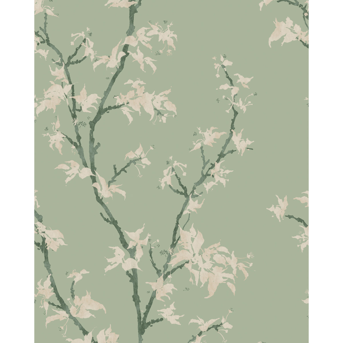 128/3014-CS COLE & SON CHINESE BRANCH SAGE