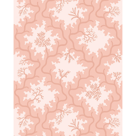128/4020-CS COLE & SON MOSS TRELLIS SOFT CORAL