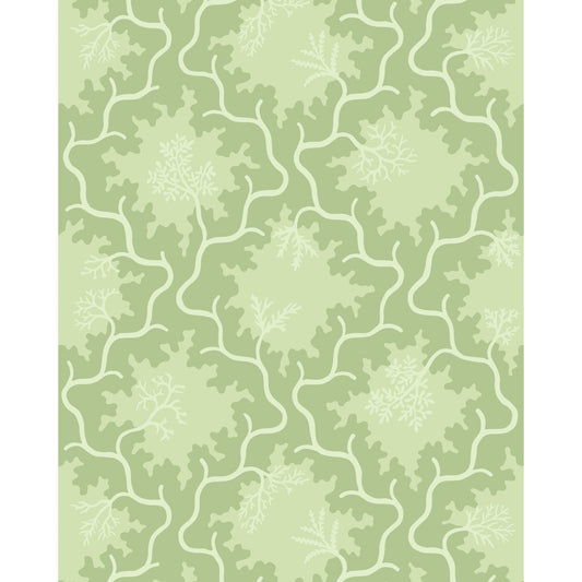 128/4022-CS COLE & SON MOSS TRELLIS MATCHA