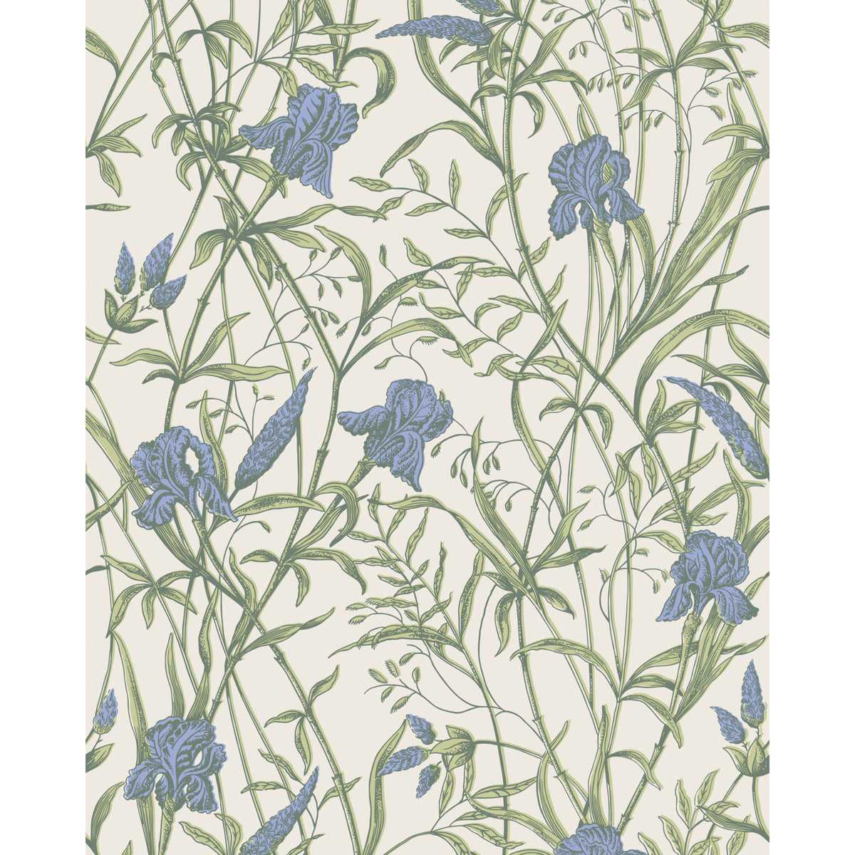 128/5023-CS COLE & SON IRIS IRIS BLUE ON STONE