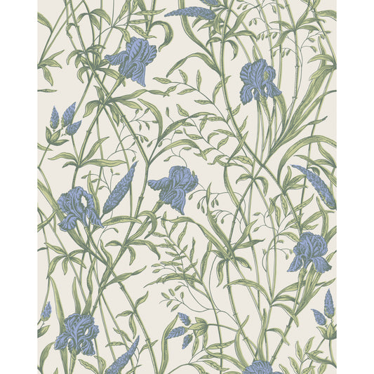 128/5023-CS COLE & SON IRIS IRIS BLUE ON STONE