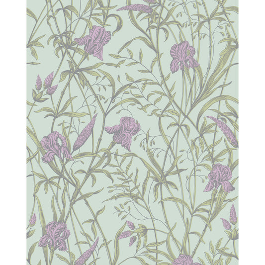128/5024-CS COLE & SON IRIS LAVENDER ON DUCK EGG
