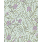 128/5024-CS COLE & SON IRIS LAVENDER ON DUCK EGG