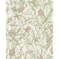 128/5025-CS COLE & SON IRIS SOFT CORAL ON CHALK