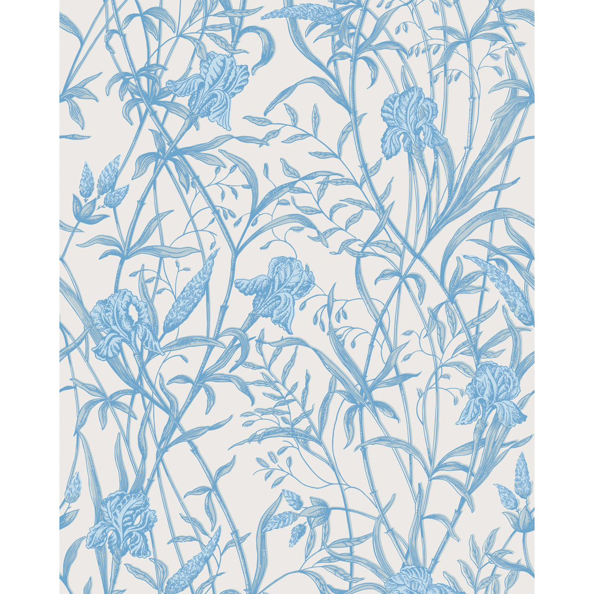 128/5026-CS COLE & SON IRIS SOFT CERULEAN