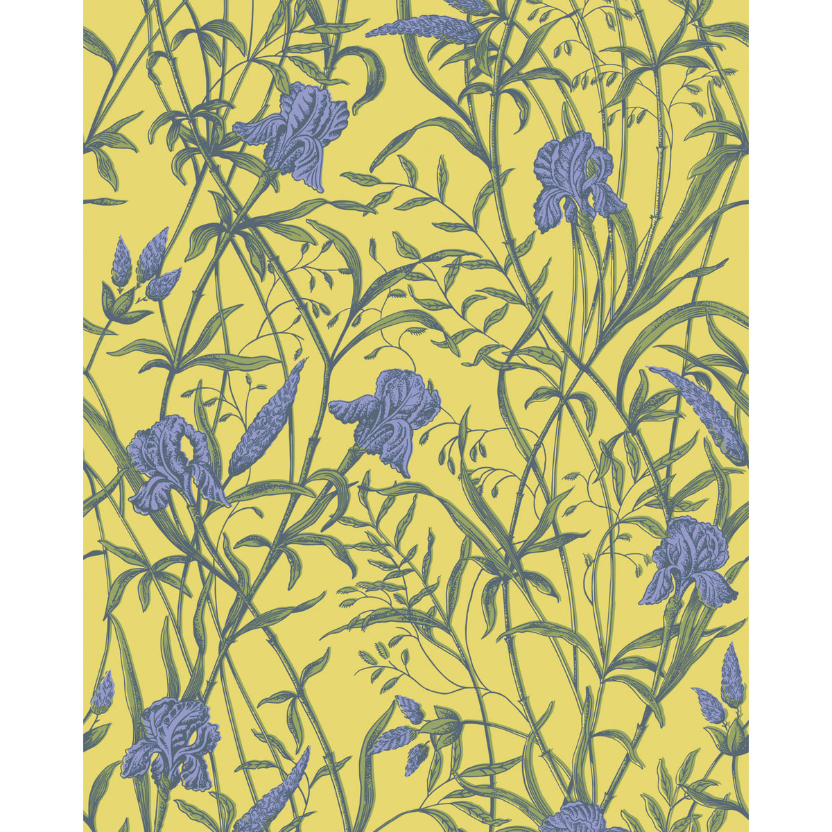 128/5027-CS COLE & SON IRIS VIOLET ON CITRINE