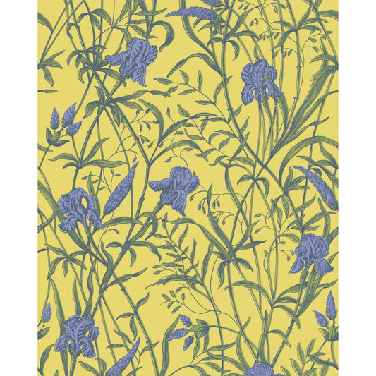 128/5027-CS COLE & SON IRIS VIOLET ON CITRINE