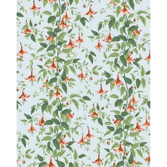 128/6029-CS COLE & SON FUSCHIA CORAL