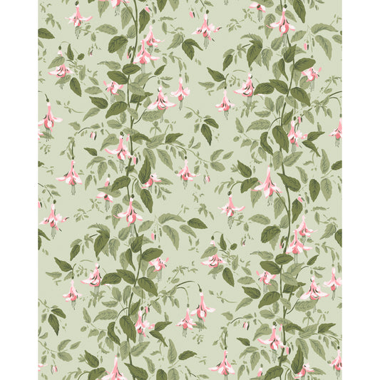 128/6032-CS COLE & SON FUSCHIA POWDER PINK