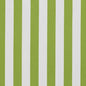 1290 Stripe Lime Canopy Green Charlotte Fabrics