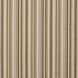 1295 Stripe Desert Brown Charlotte Fabrics