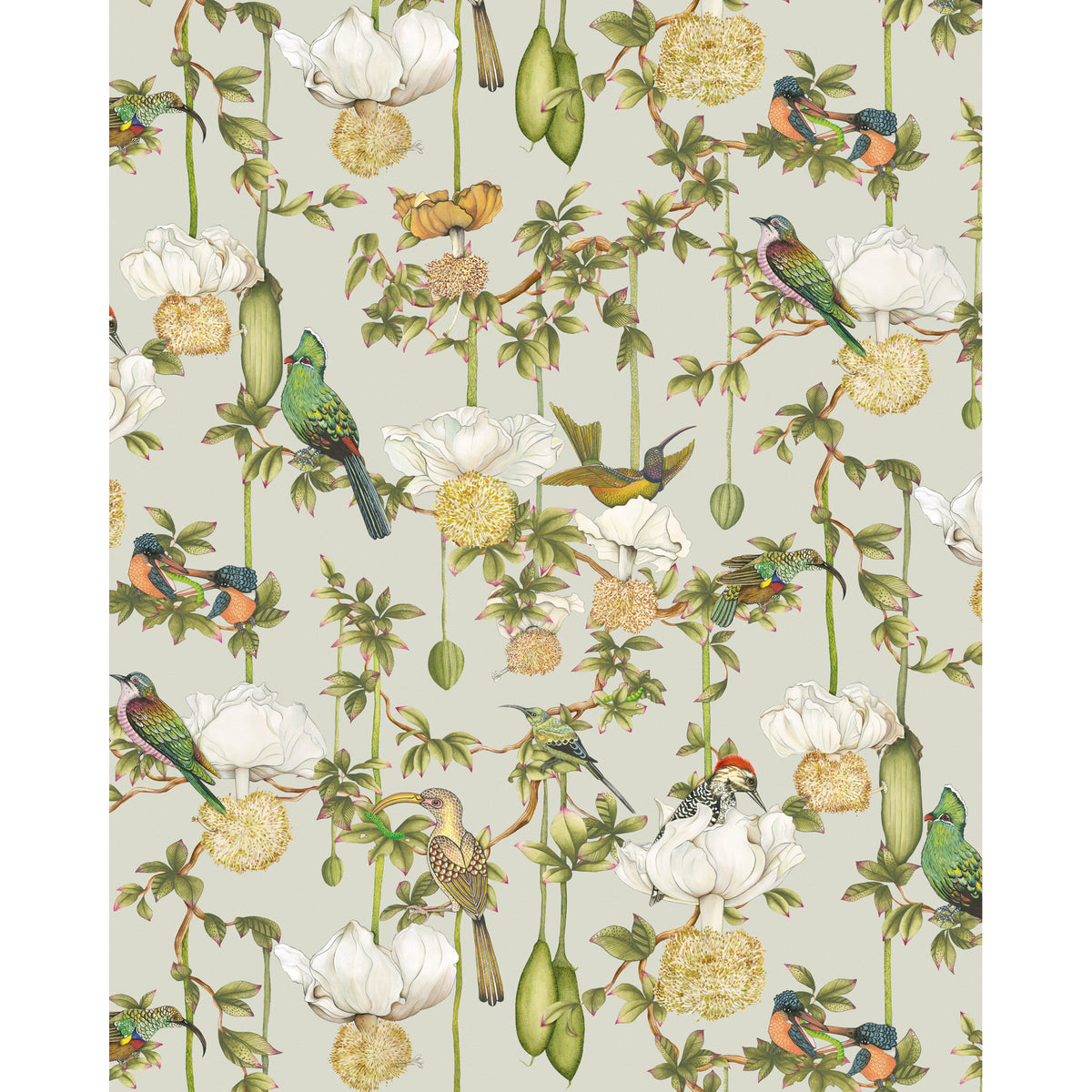 129/2006-CS COLE & SON BAOBAB BOTANICA DUCK EGG