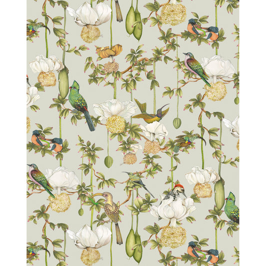 129/2006-CS COLE & SON BAOBAB BOTANICA DUCK EGG