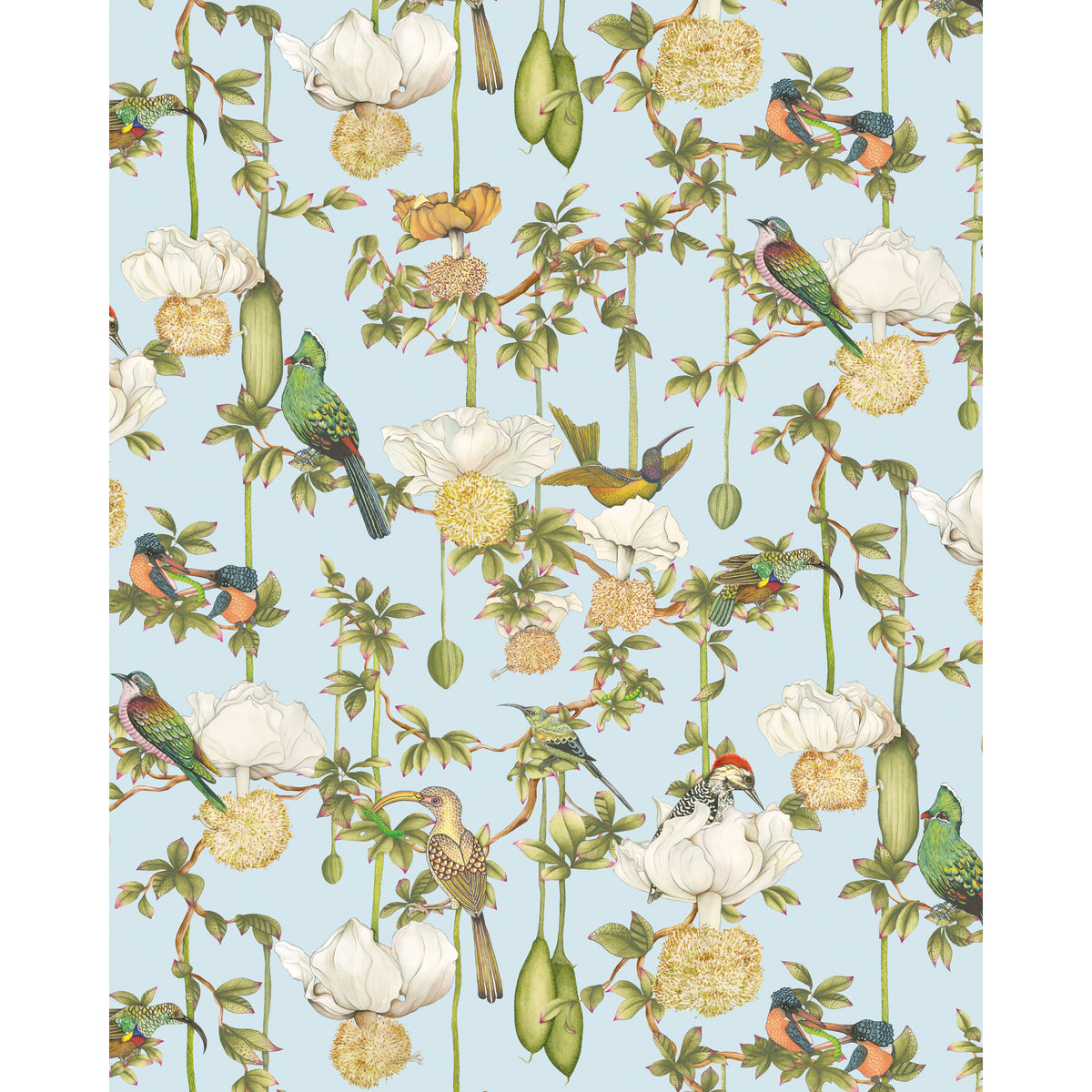 129/2007-CS COLE & SON BAOBAB BOTANICA SKY BLUE