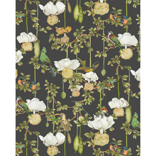 129/2009-CS COLE & SON BAOBAB BOTANICA ONYX