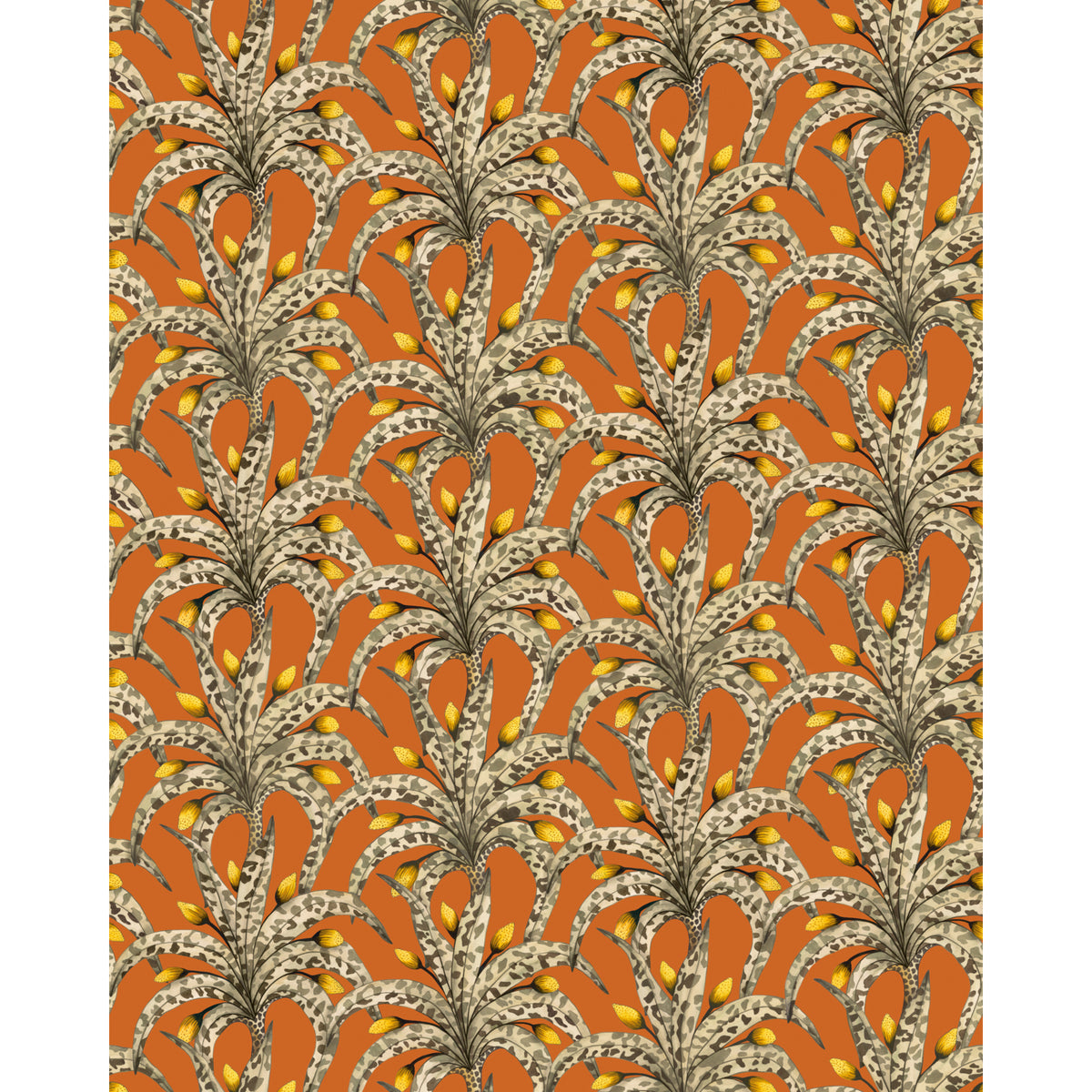 129/5018-CS COLE & SON AFRIKA DAMASK TANGERINE