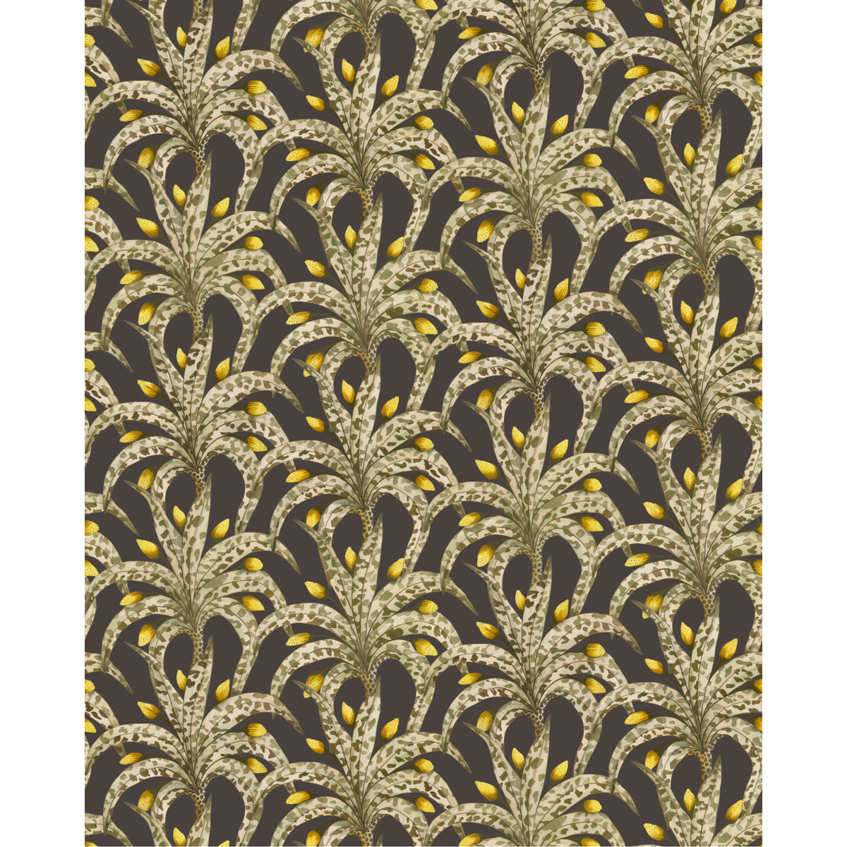 129/5019-CS COLE & SON AFRIKA DAMASK ONYX