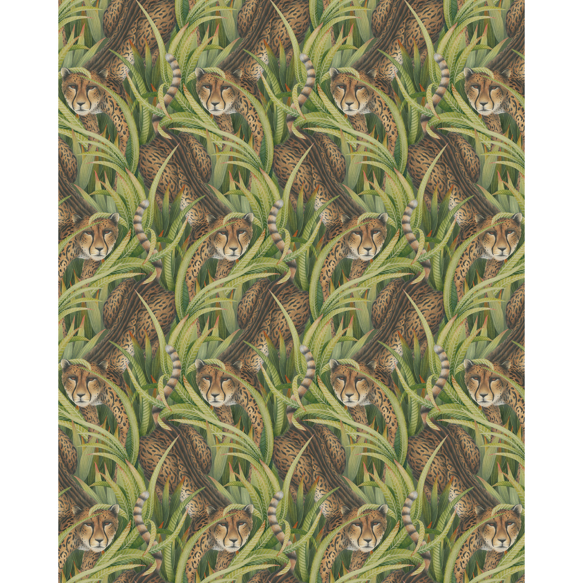 129/8042-CS COLE & SON CHEETAH PROWL GRASS