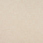1328 Plain & Solid Cream Beige & Taupe Charlotte Fabrics