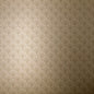 142FOIL04 1838-Wallcoverings WALLPAPER - WP # 04 BURNISHED ELODIE