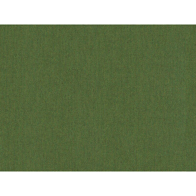 16235-33 SOLEIL CANVAS FERN KRAVET DESIGN UPHOLSTERY