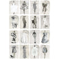 175/2008M-CS COLE & SON COUTURE CAROUSEL W MCHROME