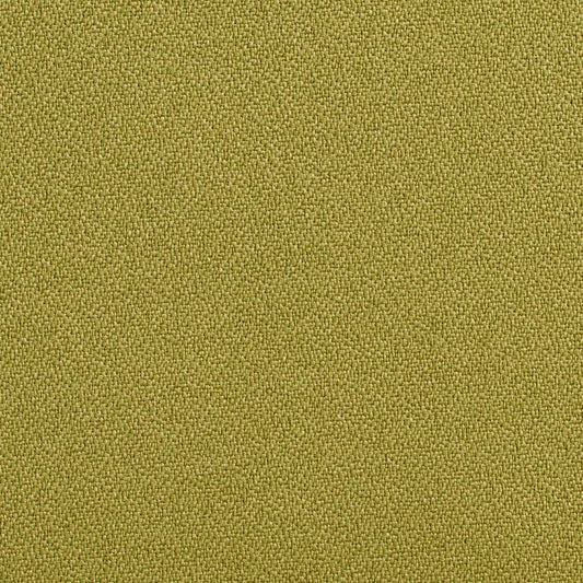 1763 Plain & Solid Aloe Green Charlotte Fabrics
