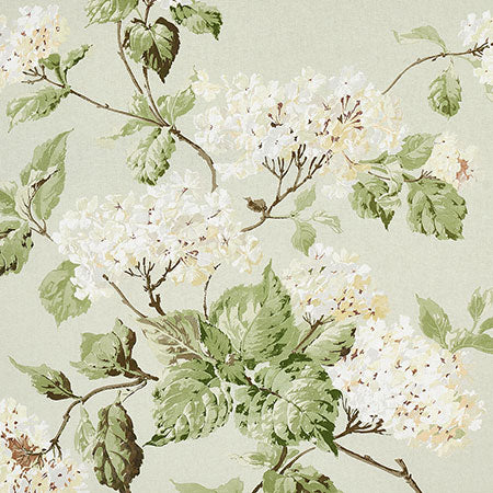 180820 SUMMER HYDRANGEA Celandon Schumacher Fabric