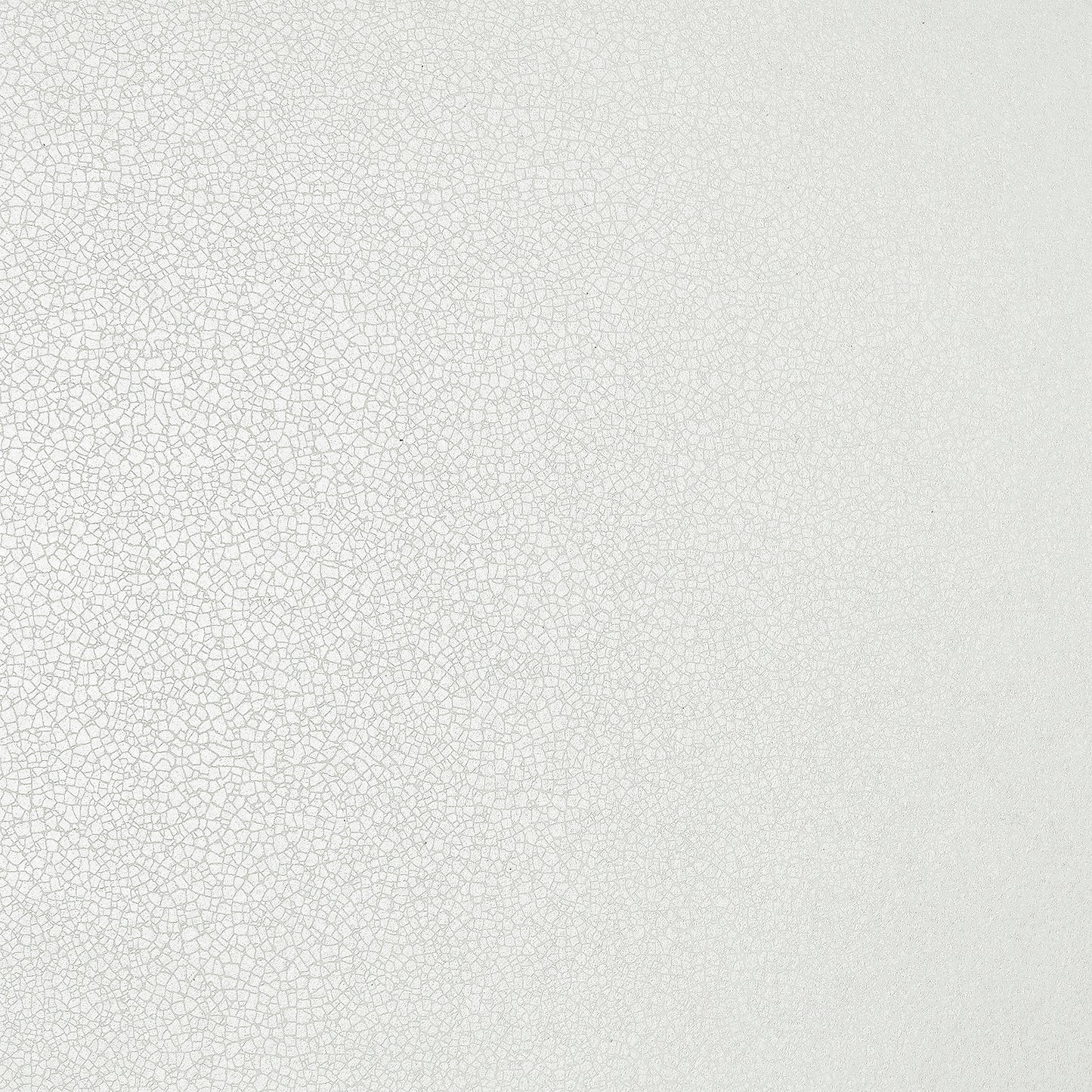 190714108 1838-Wallcoverings WALLPAPER - WP # 08 IVORY ELODIE