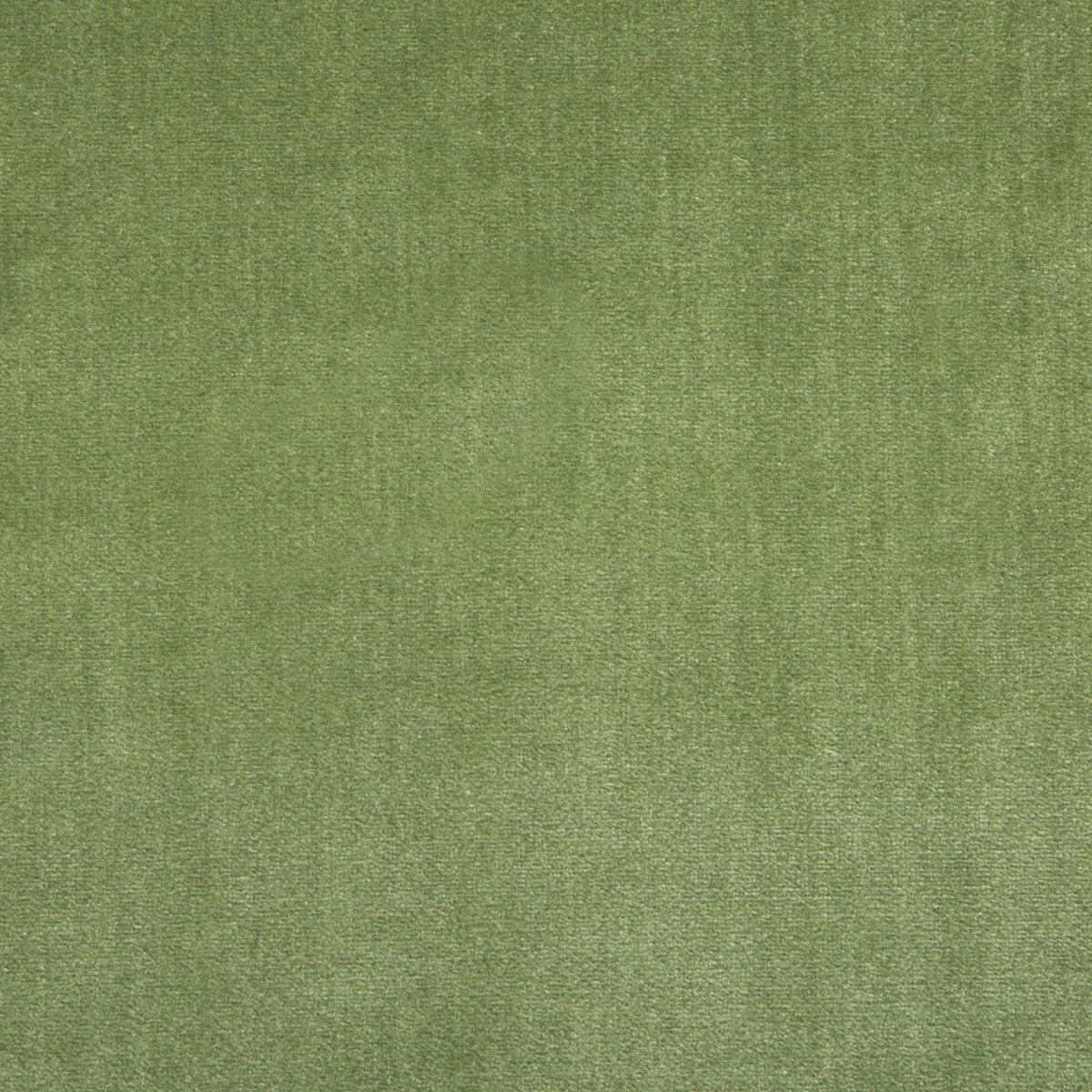 2016121-23 DUCHESS VELVET PEASHOOT LEE JOFA UPHOLSTERY