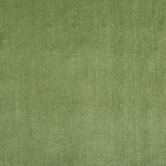 2016121-23 DUCHESS VELVET PEASHOOT LEE JOFA UPHOLSTERY