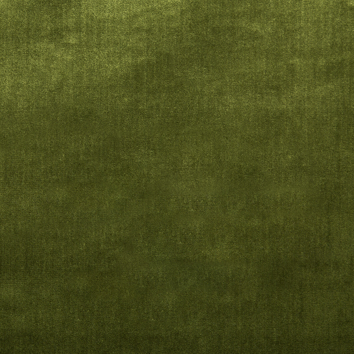 2016121-323 DUCHESS VELVET OLIVE LEE JOFA UPHOLSTERY