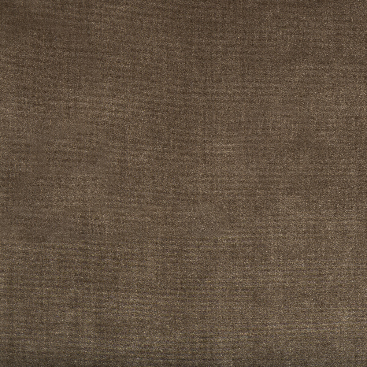 2016121-6 DUCHESS VELVET MINK LEE JOFA UPHOLSTERY