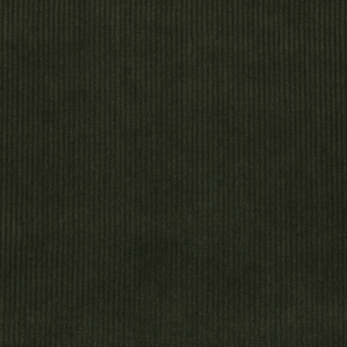 2017121-30 SARANAC CORD LODEN LEE JOFA UPHOLSTERY
